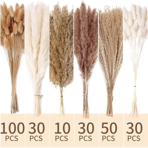 240 PCS Dried Flower Bouquet – Pampas Grass, Floral Decor for Home, Wedding, and Boho Style | Perfect for Vases, Fall, Spring, Summer, and Winter Arrangements - Image 2
