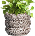 SQOWL Ceramic Plant Pots - 8 Inch Ceramic Planter for Indoor Plants Outdoor, Round Planter with Drainage Hole, Round Decorative Flower Pots, Living Room Office Garden Decor, Gardening Gifts, White by SQOWL