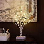Hairui Pre-lit Tabletop Birch Tree with Timer 24LED 18IN Battery Operated for Christmas Father's Day Party Decoration 2 Sets - Image 7
