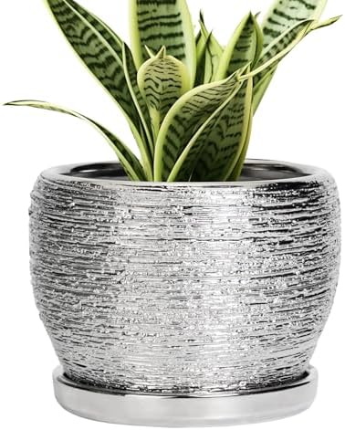 SQOWL Ceramic Plant Pots - 6 Inch Planter for Indoor Outdoor Plants, Modern Round Flower Pots with Drainage Hole and Saucer, Decorative Small Planter, Office Decor, Gifts for Women Men, Silver by SQOWL