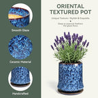 11 Inch Ceramic Planter Pot with Saucer Drainage Leak-Proof Mesh,Flower Pots for Lavender with Gardening Gloves,Ceramic Planter for Orchid(Peacock-Blue) - Image 3