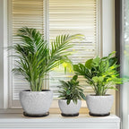 Ceramic Plant Pots, 10+8+6 Inch Flower Pot Indoor, White-Black - Image 7