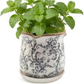 Ceramic-Planters-for-Indoor-Plants with Saucer, 6 inch Vintage Ice Crackle Glaze Plant Pots with Drainage Holes, Decorative Flower Pots for Outdoor Garden Home Decor, Tuscan Pot for Plant by Xoogifae