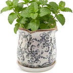 Ceramic-Planters-for-Indoor-Plants with Saucer, 6 inch Vintage Ice Crackle Glaze Plant Pots with Drainage Holes, Decorative Flower Pots for Outdoor Garden Home Decor, Tuscan Pot for Plant by Xoogifae
