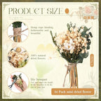 Layhit 24 Pcs Mini Dried Flower Bouquets Boho for Vase, Greenery - Image 2