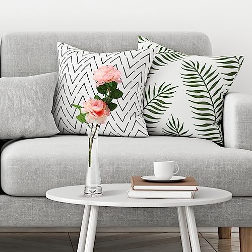 Lallisa 6 Pcs Glass Bud Vases for Centerpieces Maria Modern Clear Small Skinny Decorative Single Flower Bud Vase for Wedding Party Event Home Office Decoration(7.87 Inch,Transparent Color) - Image 5