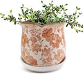Ceramic-Planters-for-Indoor-Plants with Saucer, 6 inch Vintage Ice Crackle Glaze Plant Pots with Drainage Holes, Decorative Flower Pots for Outdoor Garden Home Decor, Tuscan Pot for Plant by Xoogifae
