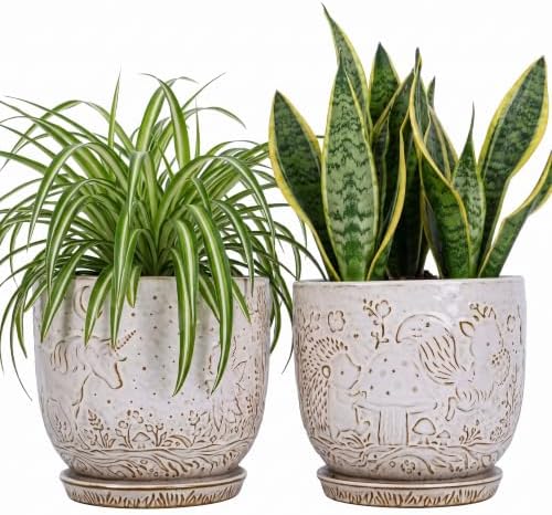 Claybourne Embossed Terracotta Plant Pots with Drainage Hole & Saucer, 4/6/8 Inch, Indoor/Outdoor Planter with Pebbles (White（Forest Elf）, 6 inch) by Claybourne