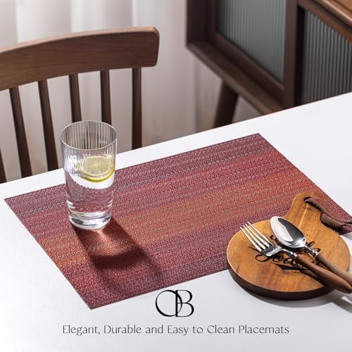 Placemats Set of 12 - Easy Clean Woven Vinyl Placemats for Dining Table, Indoor/Outdoor Place Mats, Washable PVC Table Mats（Pomegranate Parade） - Image 2