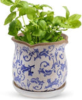 Ceramic-Planters-for-Indoor-Plants with Saucer, 6 inch Vintage Ice Crackle Glaze Plant Pots with Drainage Holes, Decorative Flower Pots for Outdoor Garden Home Decor, Tuscan Pot for Plant by Xoogifae