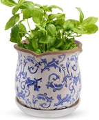 Ceramic-Planters-for-Indoor-Plants with Saucer, 6 inch Vintage Ice Crackle Glaze Plant Pots with Drainage Holes, Decorative Flower Pots for Outdoor Garden Home Decor, Tuscan Pot for Plant by Xoogifae