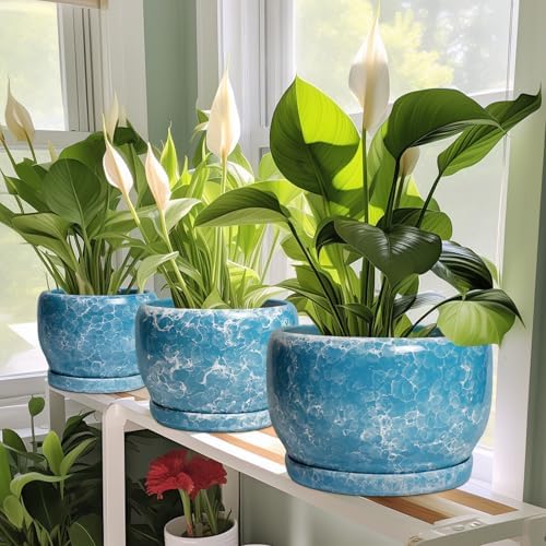 SQOWL Ceramic Planters - 10 Inch Plant Pot Indoor with Drainage Hole and Saucer, Decorative Flower Pot Outdoor, Round Large Planter, Living Room Office Garden Decor, Plant Lover Gifts for Women, Blue - Image 6
