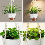 2 Pack Self Watering Hanging Planters with Grow Light for Indoor Plants - Image 5