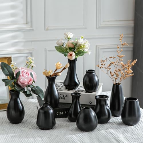 Tanvecle Ceramic Bud Vase Set of 10, Black Small Flower Vases for Decor by Tanvecle