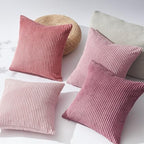 Topfinel Decorative Throw Pillow Covers Cushion Cases, Set of 4 Soft Velvet Modern Double-Sided Designs, Mix and Match for Home Decor, Pillow Inserts Not Included (24x24 inch, Pink) - Image 2