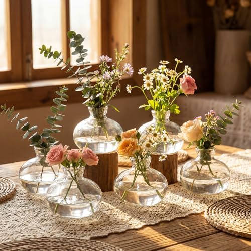 Hushee 12 Pcs Bud Vases Bulk Glass Small Vases for Flowers, Short - Image 5