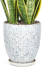 11.8 Inch Flower Pots for Indoor Plants,Ceramic Planter with Saucer Drainage Leak-Proof Mesh Gardening Gloves (Spotted Blue) by Unknown