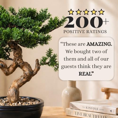 Artificial Bonsai Tree 16" Tall with Realistic Wood and Ceramic Pot, Fake Plants for Home, Bedroom and Office Desk, Japanese Decor - Image 5