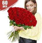 Rowfad 60 Pcs Artificial Roses Bulk, Fake Velvet Silk Flowers, Red - Image 3