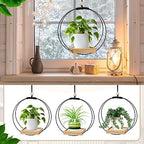 Geelin 4 Pcs Hanging Plant Holder with Wood Base Window Planter Boho, Khaki - Image 3