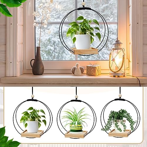 Geelin 4 Pcs Hanging Plant Holder with Wood Base Window Planter Boho, Khaki - Image 3