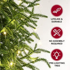ENVEN 2FT Norfolk Pine Christmas Tree – Small Artificial Tree with Prelit 30 LED Lights & 8-Mode Battery Box, Pre-Assembled Xmas Decor for Desks Tabletops Shelves - Image 4