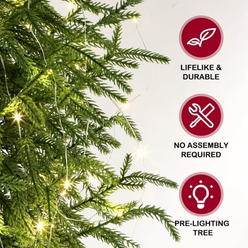 ENVEN 2FT Norfolk Pine Christmas Tree – Small Artificial Tree with Prelit 30 LED Lights & 8-Mode Battery Box, Pre-Assembled Xmas Decor for Desks Tabletops Shelves - Image 4