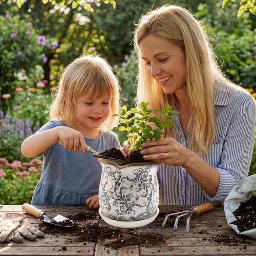 Ceramic-Planters-for-Indoor-Plants with Saucer, 6 inch Vintage Ice Crackle Glaze Plant Pots with Drainage Holes, Decorative Flower Pots for Outdoor Garden Home Decor, Tuscan Pot for Plant - Image 4