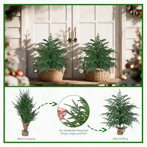Grooy 2 Pack 2FT Artificial Norfolk Pine Tree with Pot - Image 6