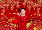 Chinese New Year Backdrop Decoration 2027 Year of The Goat Party Banner - Image 3
