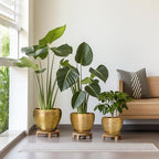 Flower Pots for Indoor & Outdoor Plants - Ceramic Pots 10 Inch, 8 Inch, 6 Inch with Drainage Holes, Saucers - Decorative Large Planters Set of 3 Gold - Image 2