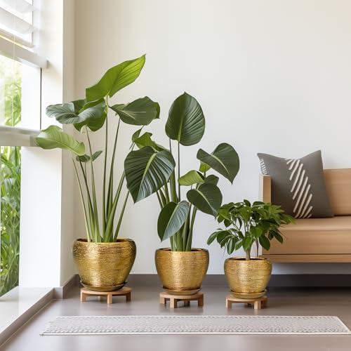 Flower Pots for Indoor & Outdoor Plants - Ceramic Pots 10 Inch, 8 Inch, 6 Inch with Drainage Holes, Saucers - Decorative Large Planters Set of 3 Gold - Image 2
