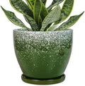 Ceraimc Plant Pot - 6.3 Inch Planter with Drainage and Plant Tray, Round Succulent Planters, Decorative Flower Pot for Indoor, Room Office Patio House Decor, Gifts for Women Men, Green by EPFamily