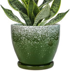 Ceraimc Plant Pot - 6.3 Inch Planter with Drainage and Plant Tray, Round Succulent Planters, Decorative Flower Pot for Indoor, Room Office Patio House Decor, Gifts for Women Men, Green by EPFamily