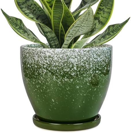 Ceraimc Plant Pot - 6.3 Inch Planter with Drainage and Plant Tray, Round Succulent Planters, Decorative Flower Pot for Indoor, Room Office Patio House Decor, Gifts for Women Men, Green by EPFamily