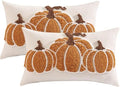 Fall Pillow Covers 12x20 Set of 2 Halloween Decor Orange Pumpkin by Tosleo