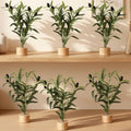 Soulchen 6 Pcs Artificial Olive Tree Branches 12" Tabletop Tree with Base by Soulchen