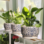 SQOWL Ceramic Planters for Indoor Plants - 8 inch Plant Pot with Drainage Hole and Saucer, Decorative Flower Pot Outdoor, Porcelain Round Planter, Living Room Decor, Gardening Gifts, Blue and Beige - Image 6