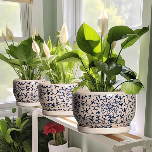 SQOWL Ceramic Flower Pots - 6 Inch Plant Pot Indoor with Drainage Hole and Saucer, Porcelain Ceramic Planter Outdoor, Decorative Round Small Planter, House Decor, Plant Lover Gifts, Blue and Beige - Image 5