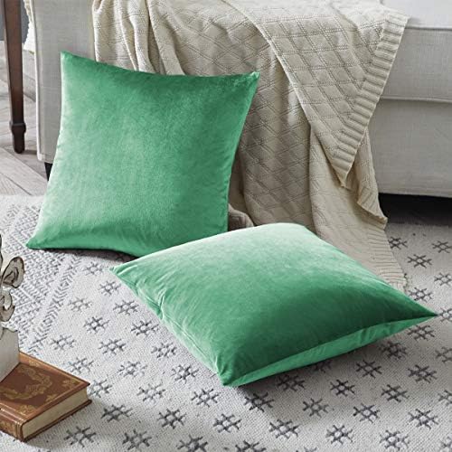 GIGIZAZA Decorative Throw Pillow Covers 20 x 20,Mint Turquoise Sofa Pillow Covers Velvet,Set of 4 Decor Square Cushion Covers - Image 5