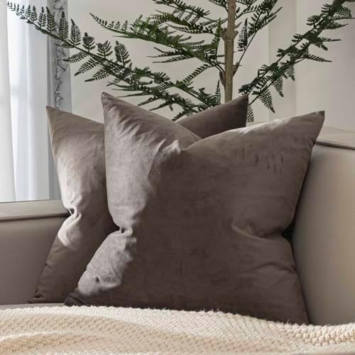 JUSPURBET 28x28 Euro Velvet Throw Pillow Covers Set of 2,Ash by JUSPURBETHOME