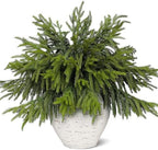 40Pcs 18"Lifelike Touch Artificial Christmas Norfolk Pine Branches for Vase by Juxdp