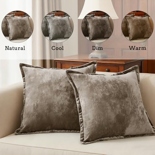 Luxurious Velvet Throw Pillow Covers 20x20 Set of 2 Decorative Pillow Covers Solid Square Cushion Case for Sofa Couch Bedroom Farmhouse, Brown - Image 2