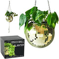 SCANDINORDICA Disco Ball Planter, Value Package, 8-inch Gold by SCANDINORDICA