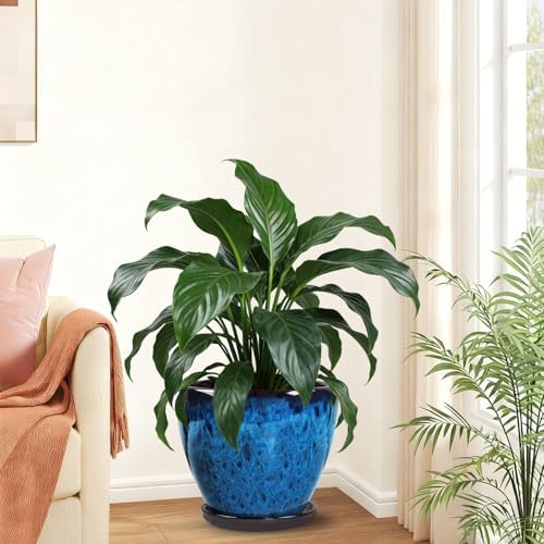 Ceramic Plant Pots With Saucer & Drainage Hole, 10 inch Indoor Flower Pots - Image 3