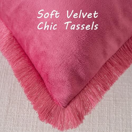 FUTEI Pack of 2 Velvet Decorative Throw Pillow Covers 20x20 Inch, Hot Pink - Image 2