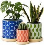 Original Earthlings Ceramic Plant Pots, Indoor Planters - Set of 3 by OriginalEarthlings
