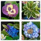 Spring Summer Wreaths for Front Door 24 Inch, Outdoor Summer Wreath with Pansy, Hydrangea & Floral Accents, Spring Wreath for Front Door Outside, Summer Wreaths Front Door for Home Decor - Image 2