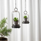 6" & 4" Wide Versatile Modern Metal Hurricane Lantern with Handmade Sturdy Glass Dome in Rustic Brown for Pillar Candle & Plants, Industrial, Farmhouse, Shabby Chic (Brown, 4"x7.5" &6.3"x11.2") - Image 5