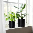 D'vine Dev 3-Pack Black Terracotta Pots & Saucers, 4/5/6 in, 40-T-A-2 - Image 7